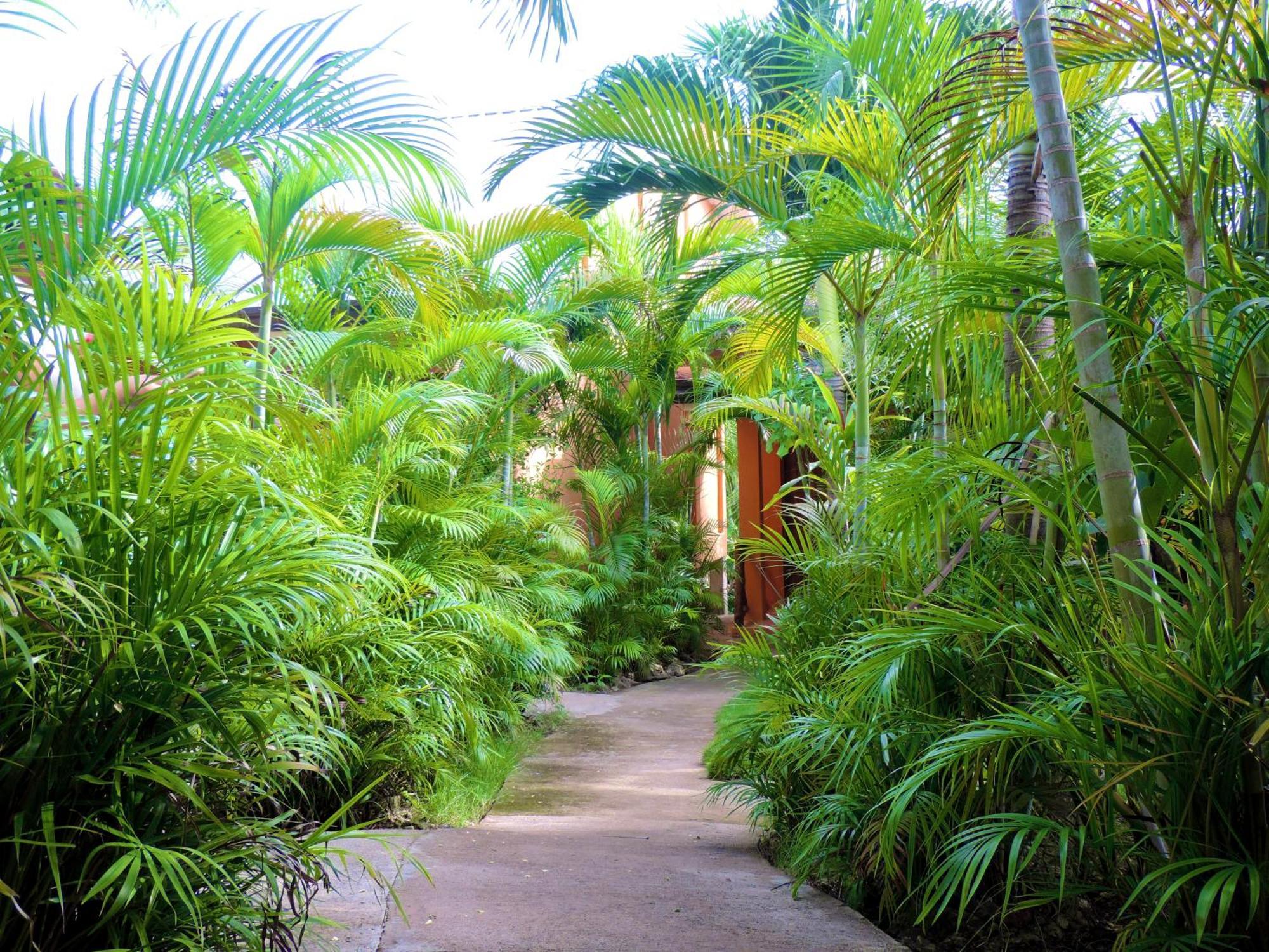 Hotel Chekesh Casa Siquijor Zewnętrze zdjęcie