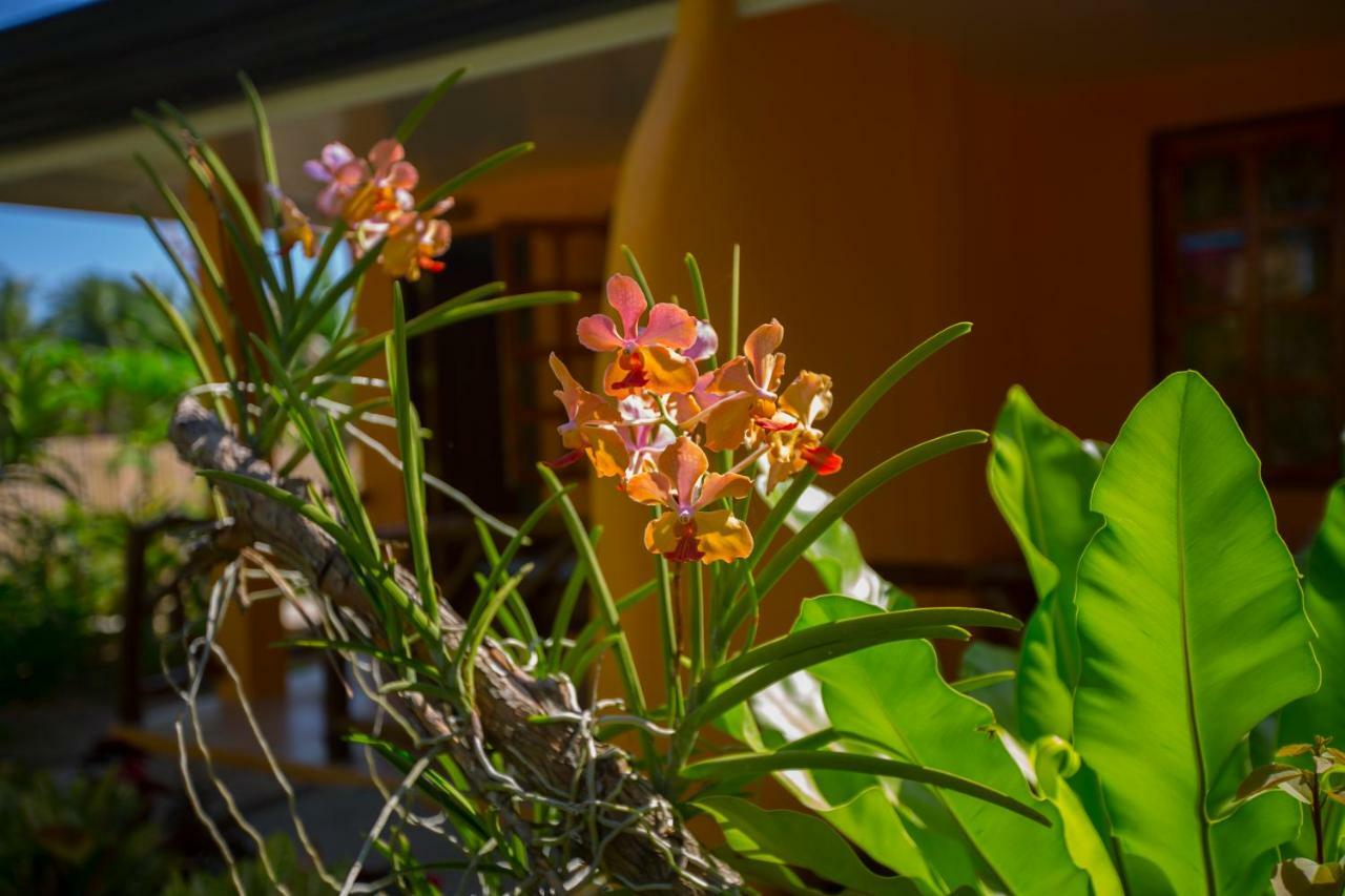 Hotel Chekesh Casa Siquijor Zewnętrze zdjęcie